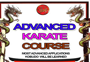 ADVANCED KARATE ENROELMENT