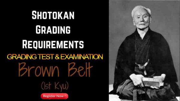 Grading Test & Examination for Brown 1st KYU