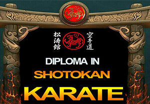 DIPLOMA IN KARATE FEE