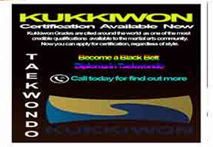 DIPLOMA IN TAEKWONDO
